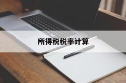 所得税税率计算(所得税税率计算公式excel)