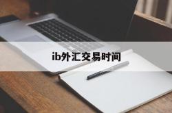 ib外汇交易时间(外汇交易平台交易时间)