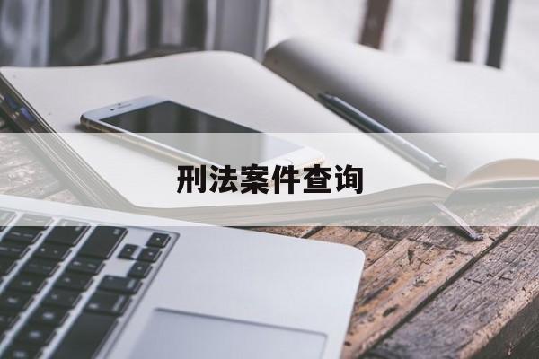 刑法案件查询(刑法案件查询app)