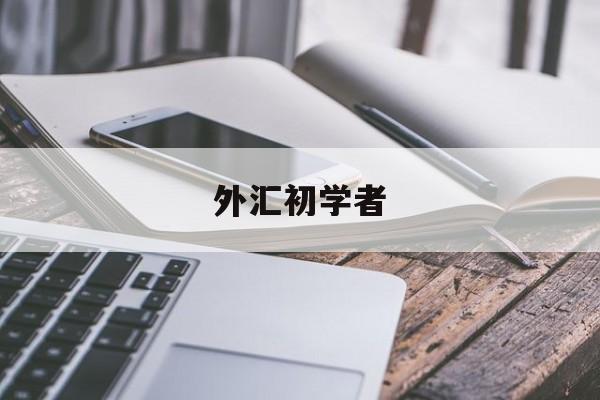 外汇初学者(外汇初学者书籍)